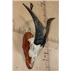Image 2 : CATALINA GOAT Skull on a Cedar Plaque