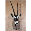 Image 1 : GEMSBOK Shoulder Mount