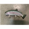 Image 2 : *New in Box* Reproduction RAINBOW TROUT Fish Mount