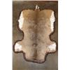 Image 1 : WHITETAIL DEER Hide Rug with Double Felted Backing