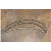 Image 1 : *TEXAS RESIDENTS ONLY* (3) SCIMITAR HORNED ORYX Horns (ONE$)