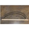 Image 2 : *TEXAS RESIDENTS ONLY* (3) SCIMITAR HORNED ORYX Horns (ONE$)