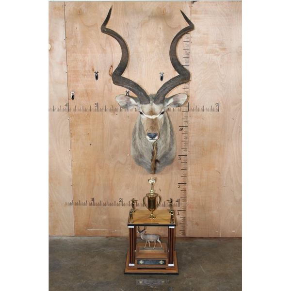 James K. Cloward's 1991 "Second Award" Winning Southern Greater KUDU  Shoulder Mount with the SCI
