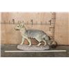 Image 2 : Life-sized CAPE FOX or Silver-Backed FOX Native to Africa on a Rocky Base