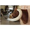Image 12 : Huge TEXAS LONGHORN Shoulder Mount with a Big Texas Twist