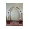 Image 12 : *TEXAS RESIDENTS ONLY* Set (2) of ELEPHANT IVORY TUSKS Mounted on Mahogany Bases