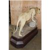 Image 18 : *TEXAS RESIDENTS ONLY* Life-sized AFRICAN LION on a Base with Wheels