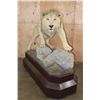 Image 3 : *TEXAS RESIDENTS ONLY* Life-sized AFRICAN LION on a Base with Wheels