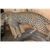 Image 10 : *TEXAS RESIDENTS ONLY* Life-sized LEOPARD on a Log Wall Hanging Base