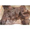 Image 11 : XL BROWN BEAR Rug with Its Mounted Head, Double Felt and Canvas Backing