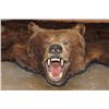 Image 1 : XL BROWN BEAR Rug with Its Mounted Head, Double Felt and Canvas Backing