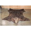 Image 2 : XL BROWN BEAR Rug with Its Mounted Head, Double Felt and Canvas Backing