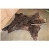 Image 3 : XL BROWN BEAR Rug with Its Mounted Head, Double Felt and Canvas Backing