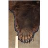 Image 6 : XL BROWN BEAR Rug with Its Mounted Head, Double Felt and Canvas Backing