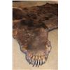 Image 7 : XL BROWN BEAR Rug with Its Mounted Head, Double Felt and Canvas Backing