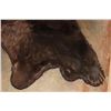 Image 8 : XL BROWN BEAR Rug with Its Mounted Head, Double Felt and Canvas Backing
