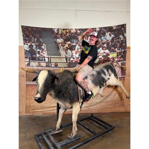 Billy Bob's Texas Life-sized "Photo Bull" from the 1980's with Audience Back-drop