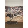 Image 2 : Billy Bob's Texas Life-sized "Photo Bull" from the 1980's with Audience Back-drop