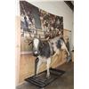 Image 4 : Billy Bob's Texas Life-sized "Photo Bull" from the 1980's with Audience Back-drop