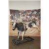 Image 6 : Billy Bob's Texas Life-sized "Photo Bull" from the 1980's with Audience Back-drop