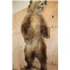 Image 12 : Life-sized Standing GRIZZLY BEAR or BROWN BEAR on a Rock Base with Wheels