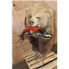 Image 4 : Life-sized BROWN BEAR with a SOCKEYE SALMON On Bolts (No Base)