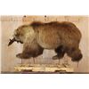 Image 8 : Life-sized BROWN BEAR with a SOCKEYE SALMON On Bolts (No Base)