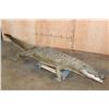 Image 1 : Big Life-sized *Real Skin* Freestanding CROCODILE, 11' 7" Long