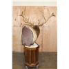 Image 11 : Massive 20-Point ELK Pedestal Mount