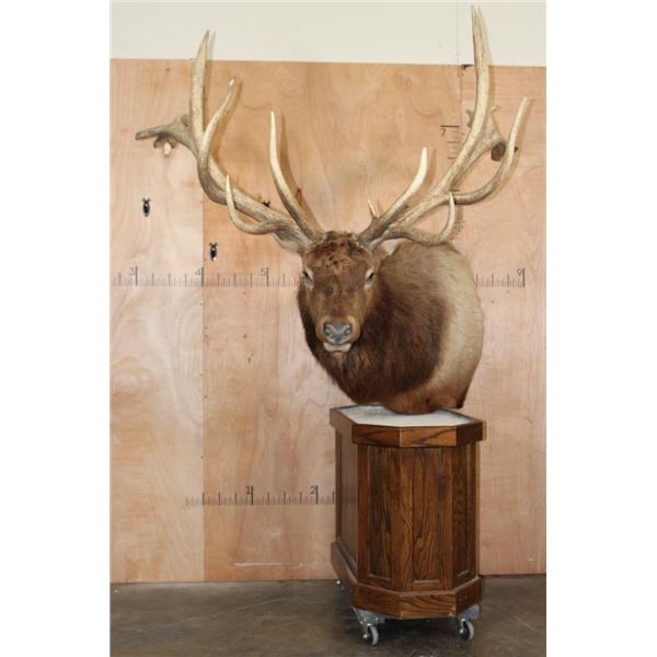 Massive 20-Point ELK Pedestal Mount