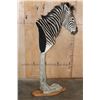 Image 10 : ZEBRA on a Wood Pedestal Base