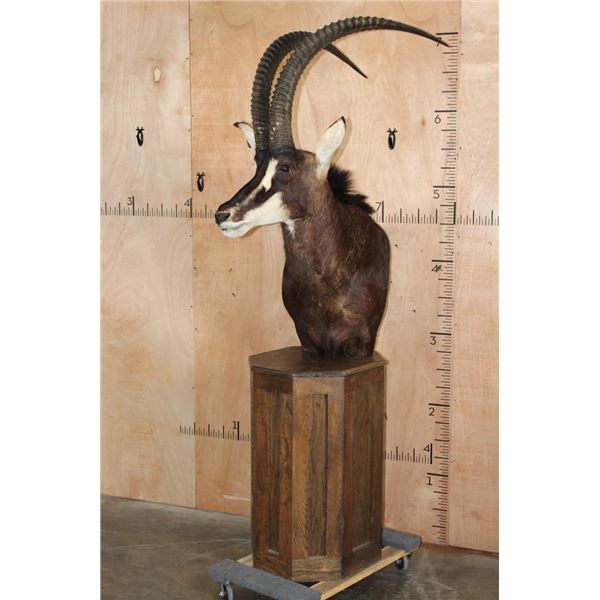 XXL SABLE Pedestal Mount