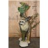Image 7 : *Rarely Seen* Life-sized BAT-EARED FOX on a Decorative Compact Base