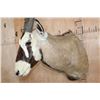 Image 6 : Largest GEMSBOK Shoulder Mount in the Sale!