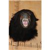 Image 3 : Snarling BLACK BEAR Shoulder Mount