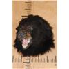 Image 4 : Snarling BLACK BEAR Shoulder Mount