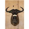 Image 1 : NYASA WILDEBEEST Shoulder Mount