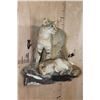 Image 2 : Life-sized AFRICAN WILDCAT with his Kill a Life-sized SPRINGHARE and a PORCUPINE Skull
