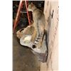 Image 8 : Life-sized AFRICAN WILDCAT with his Kill a Life-sized SPRINGHARE and a PORCUPINE Skull