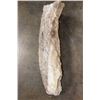 Image 10 : HUGE Cave STALACTITE or STALAGMITE in 3 Pieces