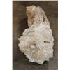 Image 8 : HUGE Cave STALACTITE or STALAGMITE in 3 Pieces