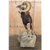 Image 8 : Life-sized CORSICAN SHEEP Ram on a Fiberglass Rock Wall Hanging Base
