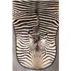 Image 3 : XL ZEBRA Hide Rug with a Carpet Backing and Leather Piping
