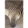 Image 4 : XL ZEBRA Hide Rug with a Carpet Backing and Leather Piping