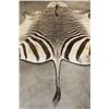 Image 8 : XL ZEBRA Hide Rug with a Carpet Backing and Leather Piping