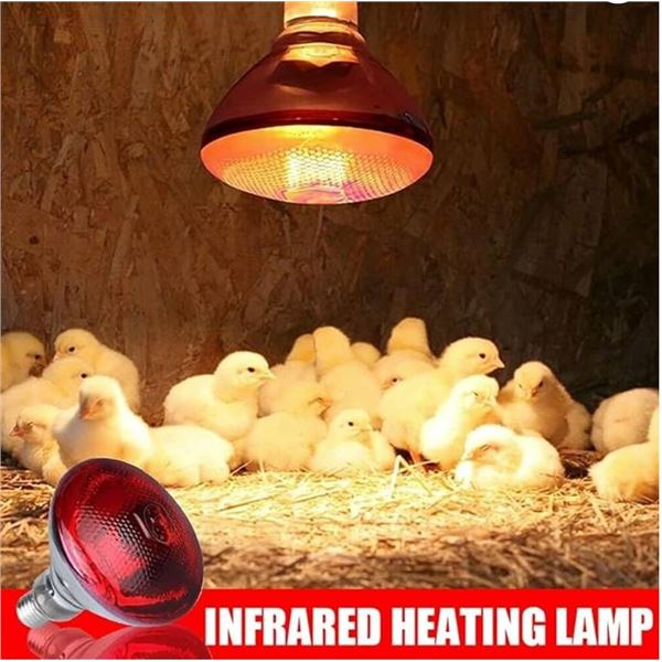 Heating Lamp 20V 120W Red Reflector Light Bulb – Screw Base Model