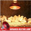 Image 1 : Heating Lamp 20V 120W Red Reflector Light Bulb – Screw Base Model