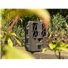 Image 1 : Spypoint Force-20 Trail Camera with 20 MP and HD Video