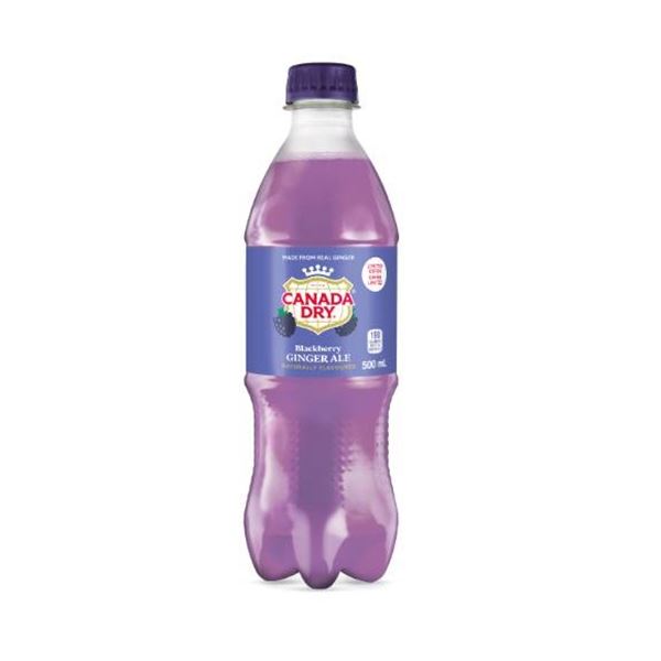 Canada Dry Blackberry 500mL Bottles – 24 Pack