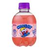 Image 1 : 48 Bottles of Chubby Soft Drink Soda 250 mL Each
